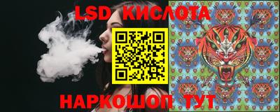 крисы Тулун
