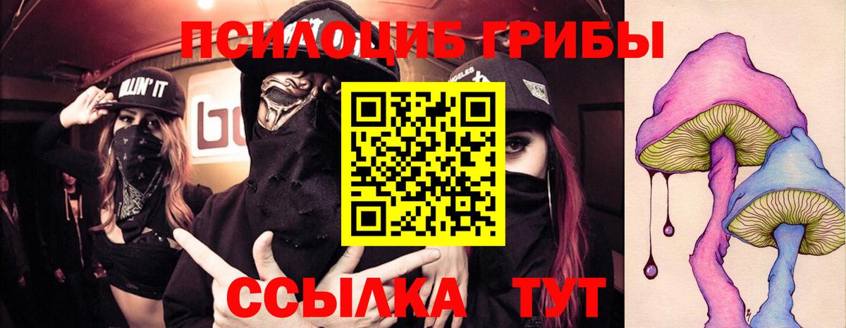 Галлюциногенные грибы Psilocybe  Псилоцибиновые грибы мухоморы  Мценск  Вход с VPN 